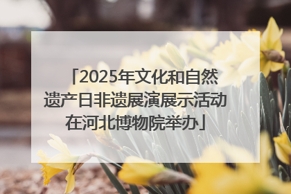 2025年文化和自然遗产日非遗展演展示活动在河北博物院举办