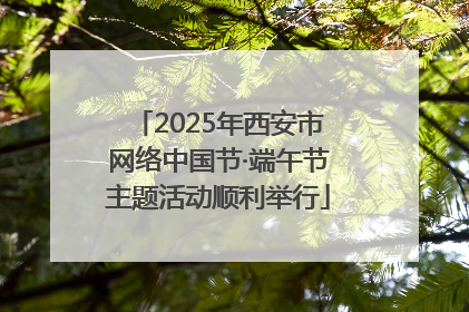 2025年西安市网络中国节·端午节主题活动顺利举行