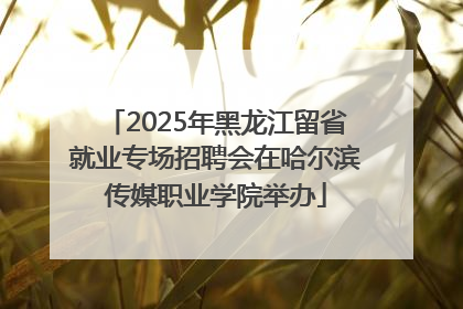 2025年黑龙江留省就业专场招聘会在哈尔滨传媒职业学院举办