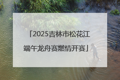 2025吉林市松花江端午龙舟赛燃情开赛