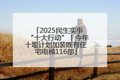 2025民生实事“十大行动”丨今年十堰计划加装既有住宅电梯116部