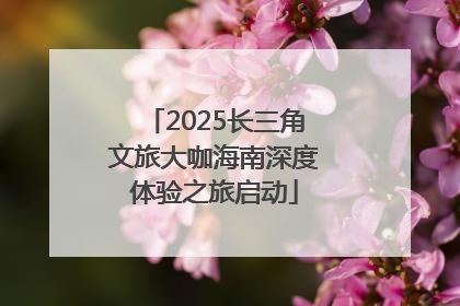 2025长三角文旅大咖海南深度体验之旅启动