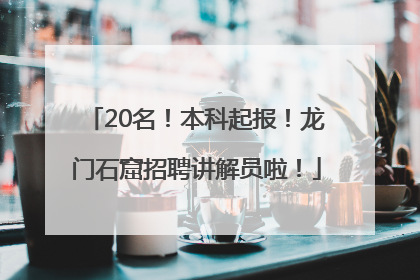 20名！本科起报！龙门石窟招聘讲解员啦！