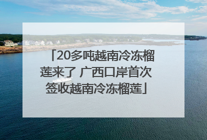 20多吨越南冷冻榴莲来了 广西口岸首次签收越南冷冻榴莲