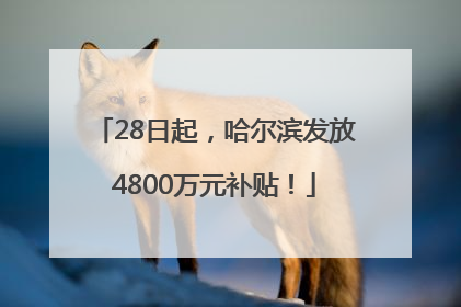 28日起，哈尔滨发放4800万元补贴！