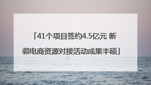 41个项目签约4.5亿元 新疆电商资源对接活动成果丰硕