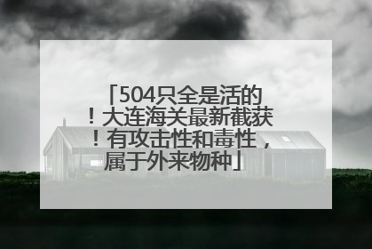 504只全是活的！大连海关最新截获！有攻击性和毒性，属于外来物种