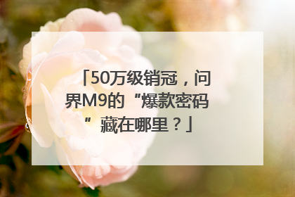50万级销冠，问界M9的“爆款密码”藏在哪里？