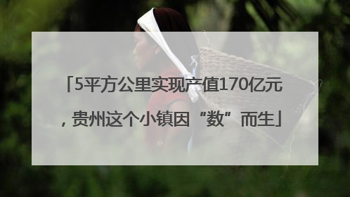 5平方公里实现产值170亿元，贵州这个小镇因“数”而生