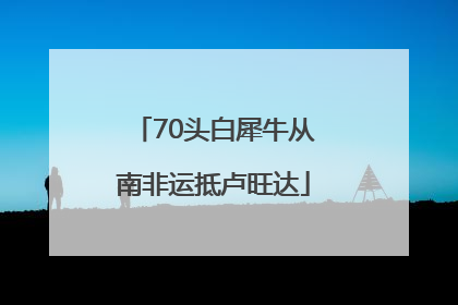 70头白犀牛从南非运抵卢旺达