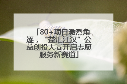 80+项目激烈角逐，“益汇江汉”公益创投大赛开启志愿服务新赛道