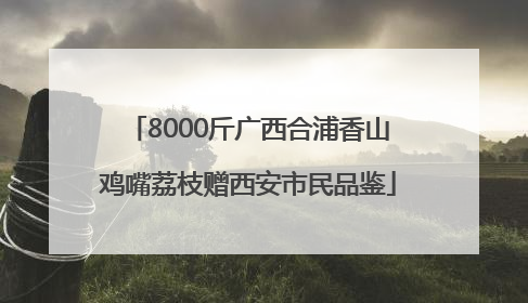 8000斤广西合浦香山鸡嘴荔枝赠西安市民品鉴