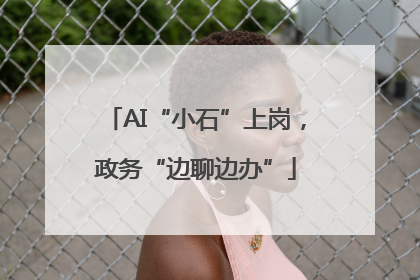 AI“小石”上岗，政务“边聊边办”