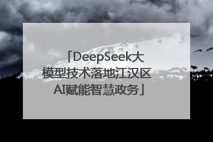 DeepSeek大模型技术落地江汉区 AI赋能智慧政务