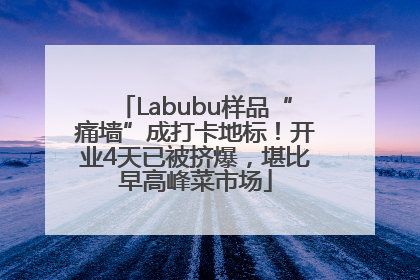 Labubu样品“痛墙”成打卡地标！开业4天已被挤爆，堪比早高峰菜市场