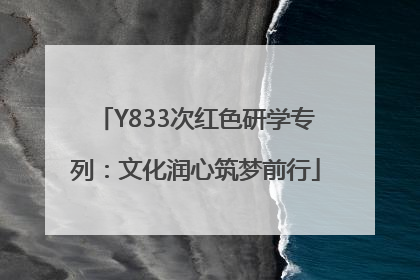 Y833次红色研学专列：文化润心筑梦前行