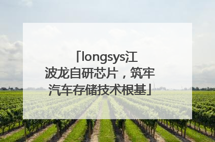 longsys江波龙自研芯片，筑牢汽车存储技术根基